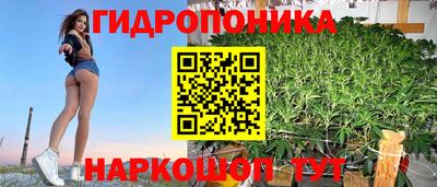 apvp Новоалександровск