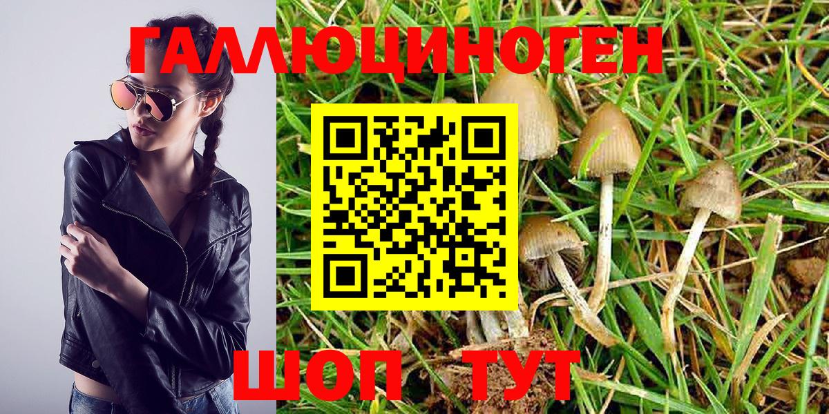 Галлюциногенные грибы Magic Shrooms  Вход с VPN  Боровичи 